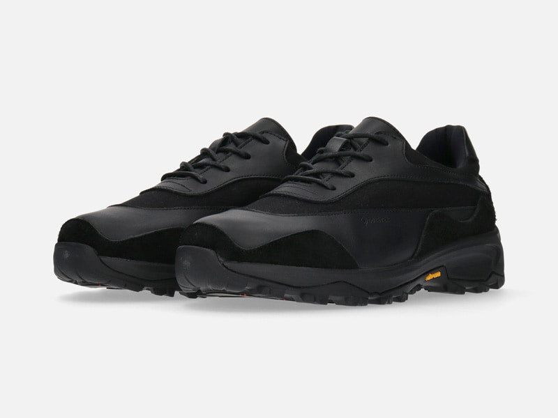 Spingle SP-1906 (Snow & Ice Road) Vibram ARCTIC GRIP × GORE-TEX