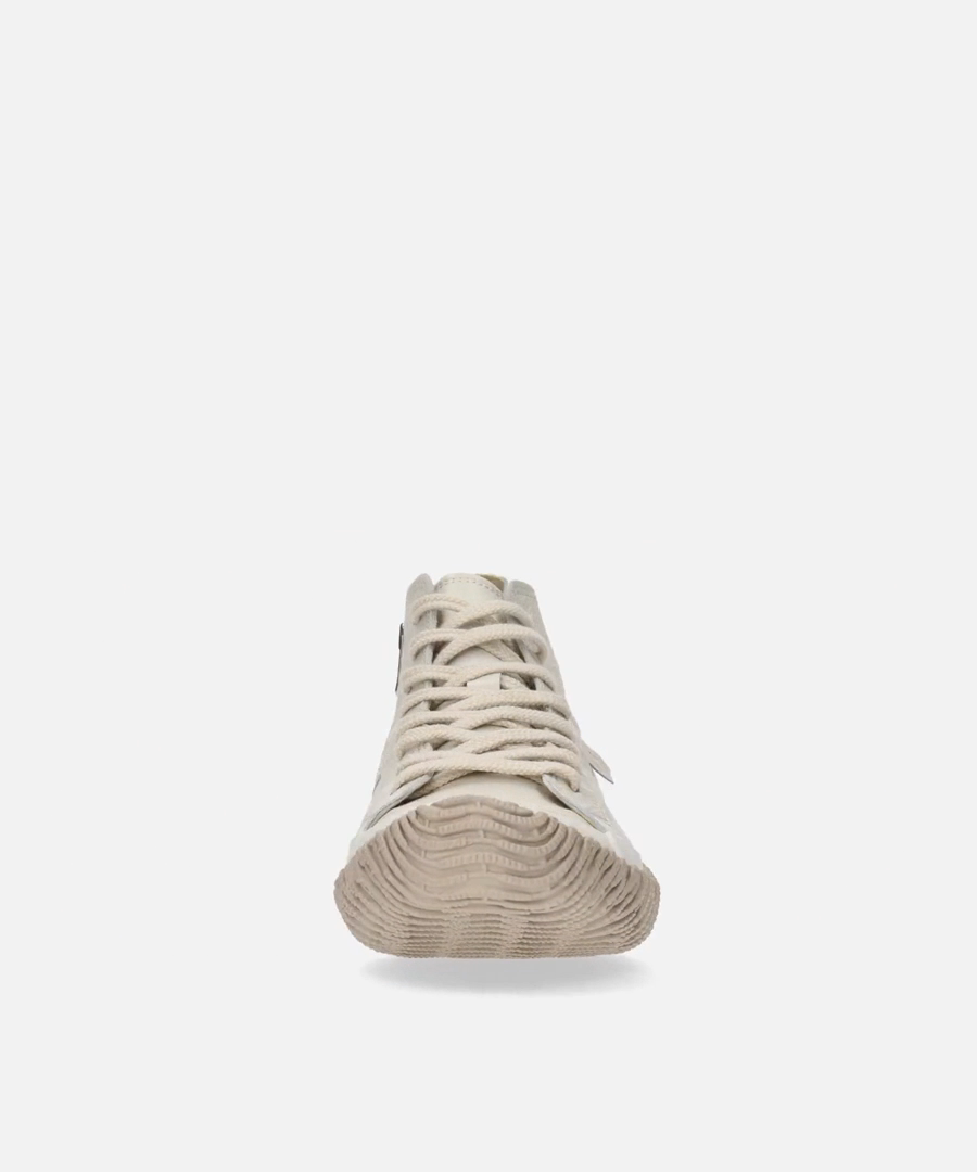 SP-443 Ivory