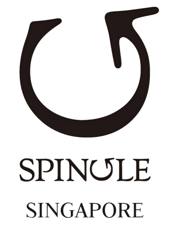 Spingle Singapore