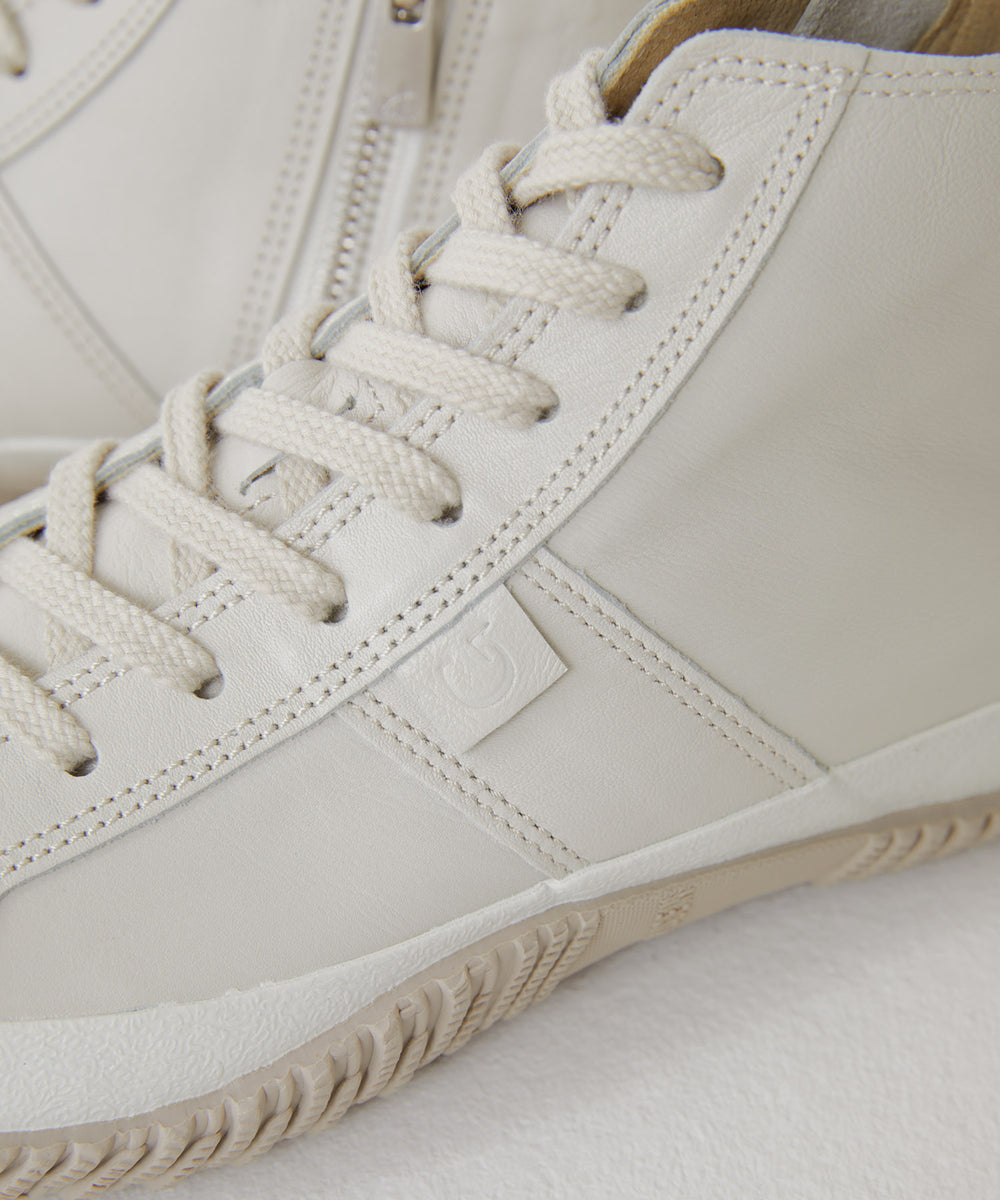 SP-443 Ivory